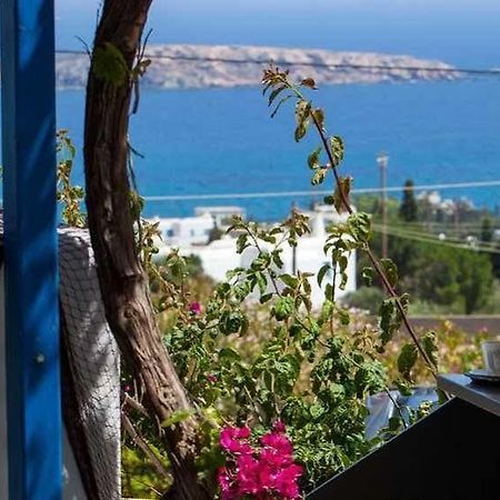 Aloe Paros Suites And Studios Drios Extérieur photo