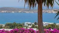 Aloe Paros Suites And Studios Drios Extérieur photo
