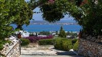 Aloe Paros Suites And Studios Drios Extérieur photo